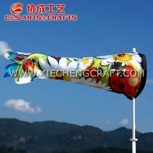 Windsocks Flag